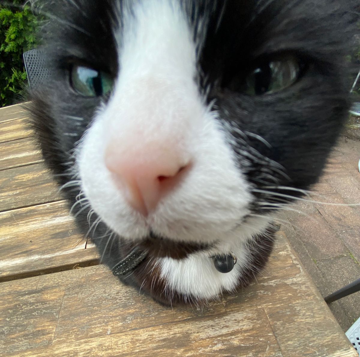 Icono de perfil